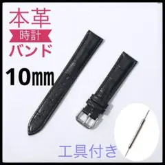 Item thumbnail for item 0e066ee1-ab33-40da-8fa5-bbcc45e0e518