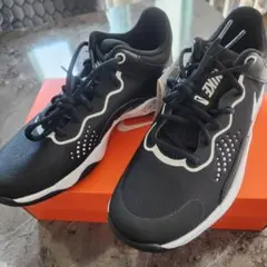 【新品未使用】NIKE FLY. BY MID 3 スニーカー 26.0cm