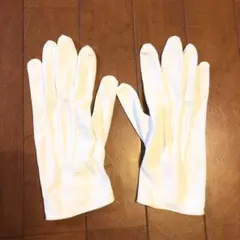 Item thumbnail for item 5e2546b6-c496-4399-9ddc-a1fea1e1f782