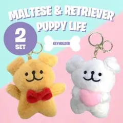 ★2個セット★ マルチーズとレトリーバー パピーライフ ぬいぐるみ キーホルダー