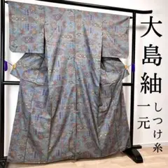 ZF77 大島紬 一元式 しつけ糸 正絹 花柄 広衿 袷