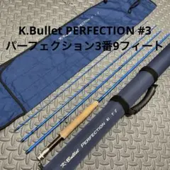 天龍　フライロッド　K・Bullet　EX　９フィート8番 天龍 フライロッド K・Bullet EX 9フィート8番 フィッシング