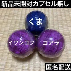 ワンピの実　くま、コアラ、イワンコフ未開封セット