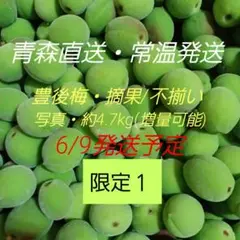 ✴︎無農薬品✴︎ 青森県産　八助　八助梅　箱込み5キロ　完熟前 大きさミックス ✴︎無農薬品✴︎ 青森県産 八助 八助梅 箱込み5キロ 完熟前