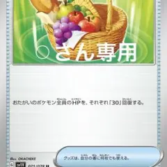 専用