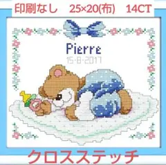 クロスステッチキット　印刷なし　25×20(布)　14CT