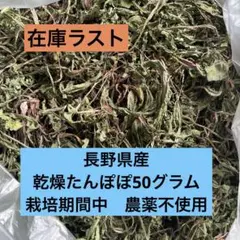 Item thumbnail for item cb708474-a1a2-4324-a471-e39761fc89f6