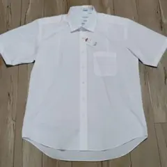 Item thumbnail for item 0d9cd5be-d00b-49c8-8460-e8abc8d7436e