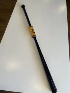 Item thumbnail for item d4e26127-698a-4bc9-a5bf-4f808cf80f25