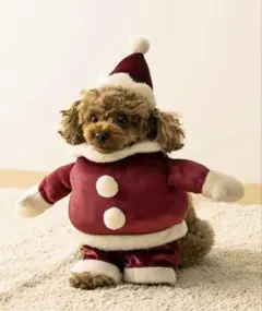 Item thumbnail for item d41e6ea4-84cf-4323-b176-4604bfab897d