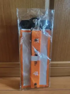 【新品未使用】ジャイアンツ　チケットホルダー　 優勝予告バージョン