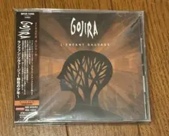 ランファン・ソヴァージュ～野生の少年～　GOJIRA