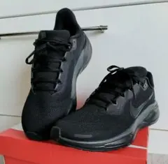 NIKEナイキ シューズ エアズーム Pegasus41ペガサス 26cm