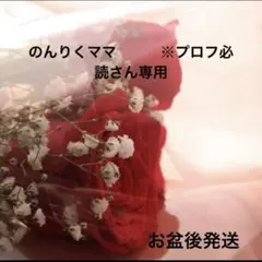 のんりくママ　　　※プロフ必読さん専用