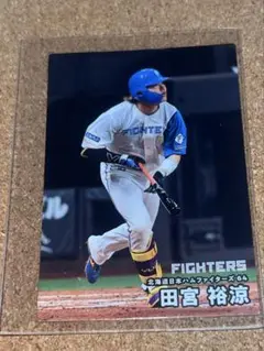プロ野球チップス2025 田宮裕涼 即日発送⭕️