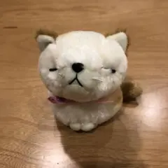 ねこのぬいぐるみ