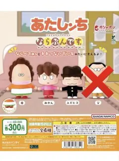 あたしんち ならぶんです 母みかんセット