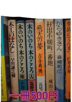 文学作品集 500円