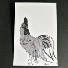 ボールペン画　にわとり