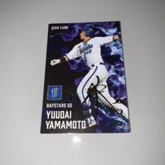 プロ野球 プロ野球チップス カード 横浜DeNAベイスターズ 山本祐大