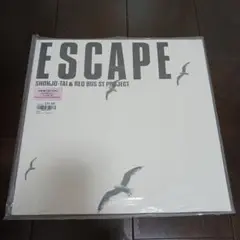 少女性隊 ESCAPE 12インチレコード