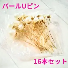 Item thumbnail for item e19468ec-c54e-4b2d-adf5-97079d00a8cf