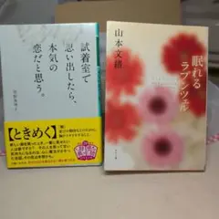 眠れるラプンツェル 山本文緒