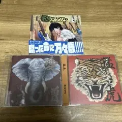 炙りなタウン　CDセット 2025年最新】炙りなタウン cdの人気アイテム - メルカリ