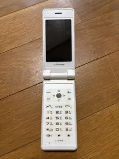 【希少】docomo L-03B 中古美品　補助充電アダプターのおまけ付き！