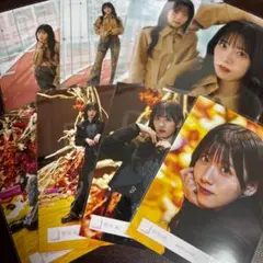 石森璃花 櫻坂46 港区パセリ MV 生写真 8種コンプ