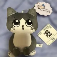 ねこに転生したおじさん　プンちゃん　ぬいぐるみ