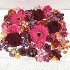 Item thumbnail for item 91ef119b-3fea-4eb9-b9f6-fa2c2c942252