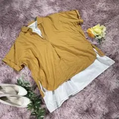【まとめ売り】 earth music&ecology　スキッパーシャツセット