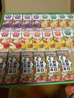 カゴメ 野菜生活100 野菜1日これ一本セット