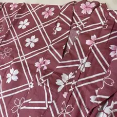 Item thumbnail for item e216f2bc-3505-46e2-b40f-e413f4ef3f02