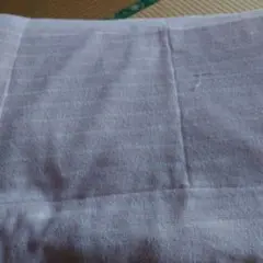 イオン肌掛け布団　シングル　ピンク