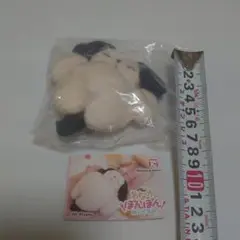 おなかぽんぽんぬいぐるみ　べりー