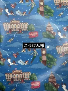 キャスキッドソン　ピーターパン　ラミネート