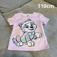 パウパトロール エベレスト Tシャツ(110cm)