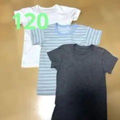 Item thumbnail for item aa43adc0-7f24-4d08-a245-9c389dd1d9bd