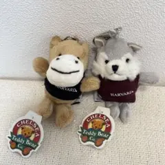 ハーバード大学 マスコット ぬいぐるみ キーホルダー