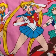 セーラームーン 枕（ まくらのモリシタ製）