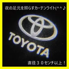 人気 トヨタ白白 カーテシライト カーテシランプ LED 2個セット