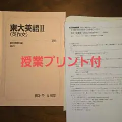 駿台　東大英語II（英作文)