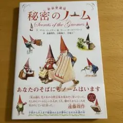 秘密のノーム　　新装愛蔵版
