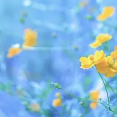 ゆきちゃん様　(ᵔᴥᵔ)専用