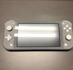 Nintendo Switch NINTENDO SWITCH LITE グレー