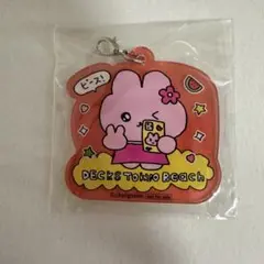 チェゴシム お台場 アクリルチャーム