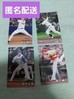 プロ野球チップス 2025