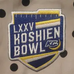 関西学院大学☆甲子園ボール☆ワッペン